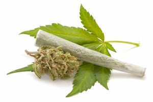 wpid-marijuana-leaf-joint-140423-2016-11-29-15-53.jpg